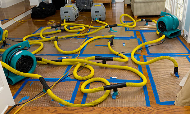 Professional Flood Damage Restoration technician working in Mineral Bluff, GA